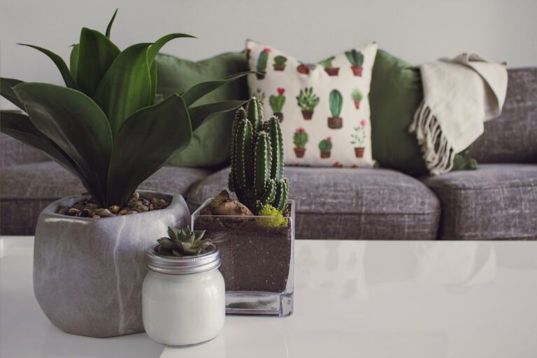 10 Essential Decor Styles for Every Room in Your Home